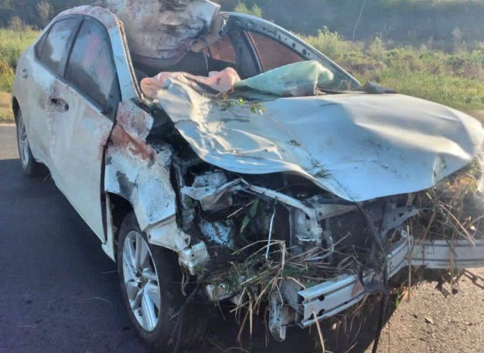 Falleció Cachito Espinoza, ex jugador de Olimpia: con su auto chocó animales sueltos en la ruta 86