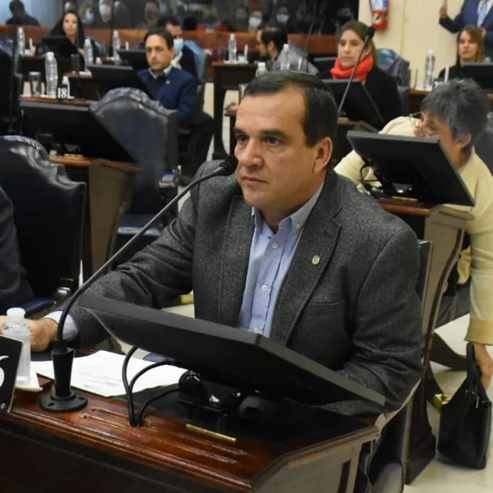 Zárate: " pretendemos que la tarifa de energía eléctrica tenga costos reducidos durante seis meses ,los de máximo calor que son los de mayor consumo, no pedimos que se regale la energía, sino que tenga un subsidio nacional a través de CAMMESA”