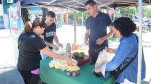 Bolsones saludables esta semana en varios puntos de venta