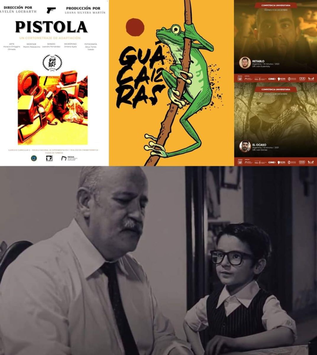 Formosa dice presente en el festival "Guacarás"