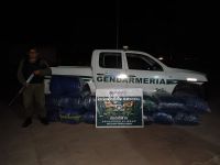 Gerndarmería secuestró 25kg de coca sobre el Kilómetro 1.651 de la ruta nacional Nº 81