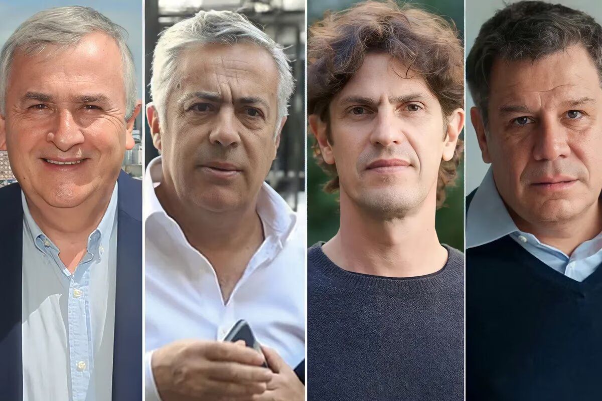 Crecen las peleas en la UCR por su relación con Pro: Manes busca resurgir y Morales apura su candidatura