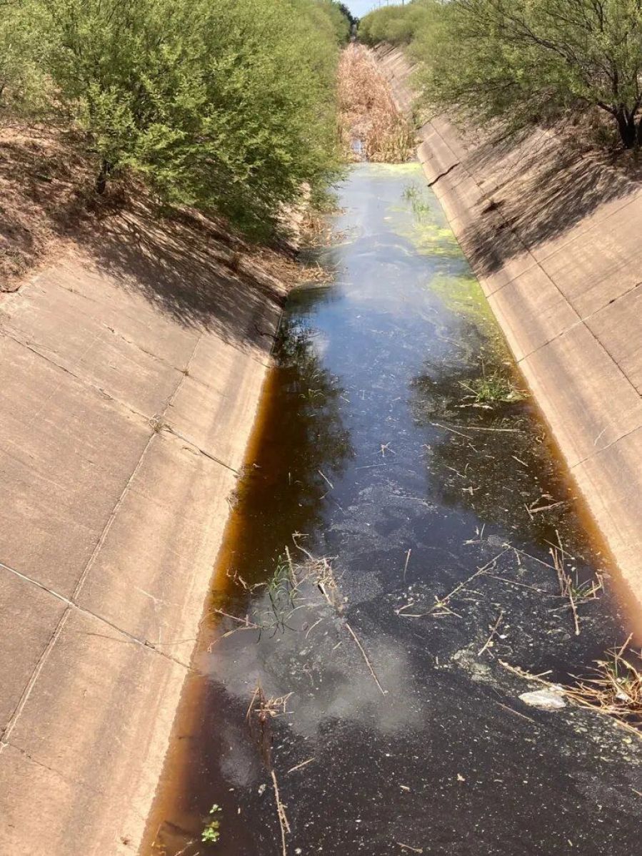Canal que va de Laguna Yema hasta Las Lomitas se encuentra en un estado pestilente y de abandono