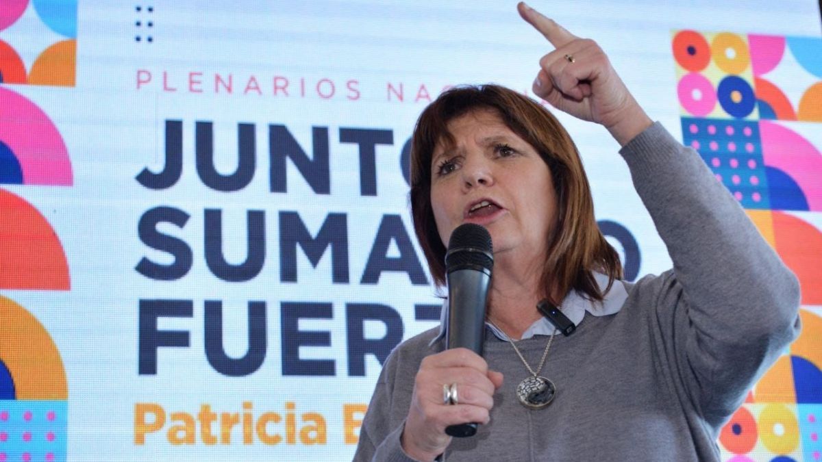 Patricia Bullrich también elogió a Mauricio Macri: "Esto confirma su grandeza y generosidad"