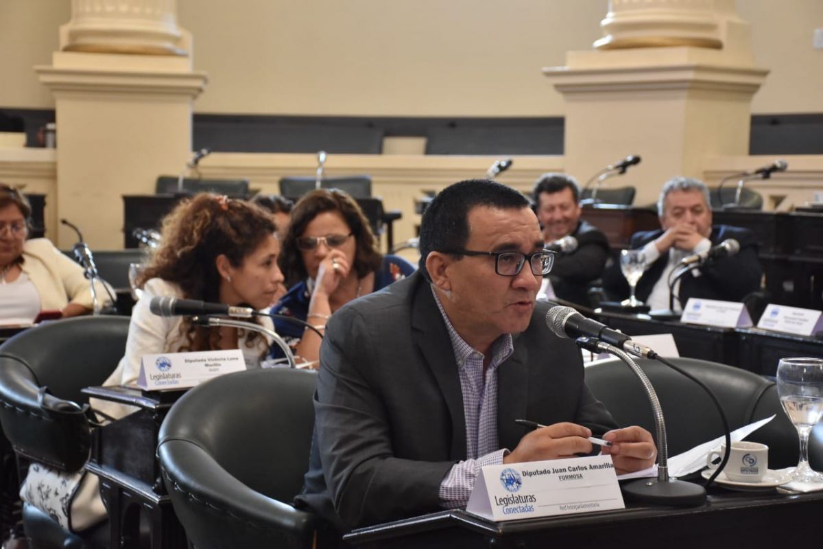 Amarilla: "que la fiscal designada mantenga voluntariamente su afiliación al partido justicialista es incompatible con el punto  de vista ético  y otra vez pone de manifiesto la justicia militante"