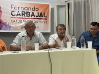 Carlos Lee sobre la impugnación a Insfran: “ la resolución de la CSJN en San Juan fija un camino para resolver lo que está pasando en Formosa”
