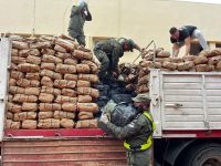 Gendarmería incautó más de una tonelada y media de marihuana a la altura de Boedo de un camión que se dirigía a Córdoba